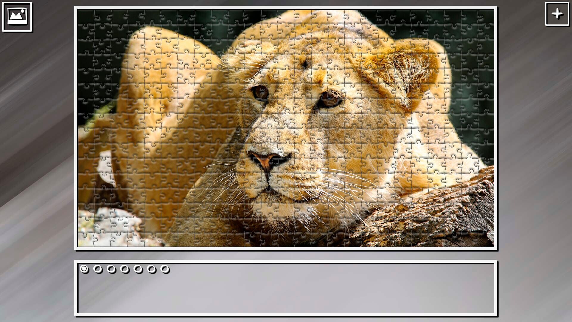 Super Jigsaw Puzzle: Generations - Big Cats 3 screenshot 16