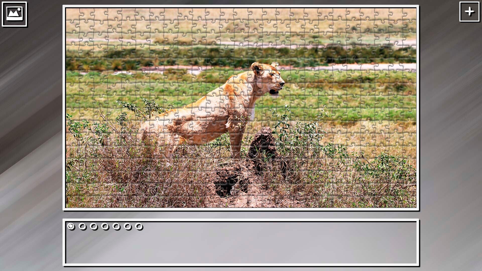 Super Jigsaw Puzzle: Generations - Big Cats 3 screenshot 23