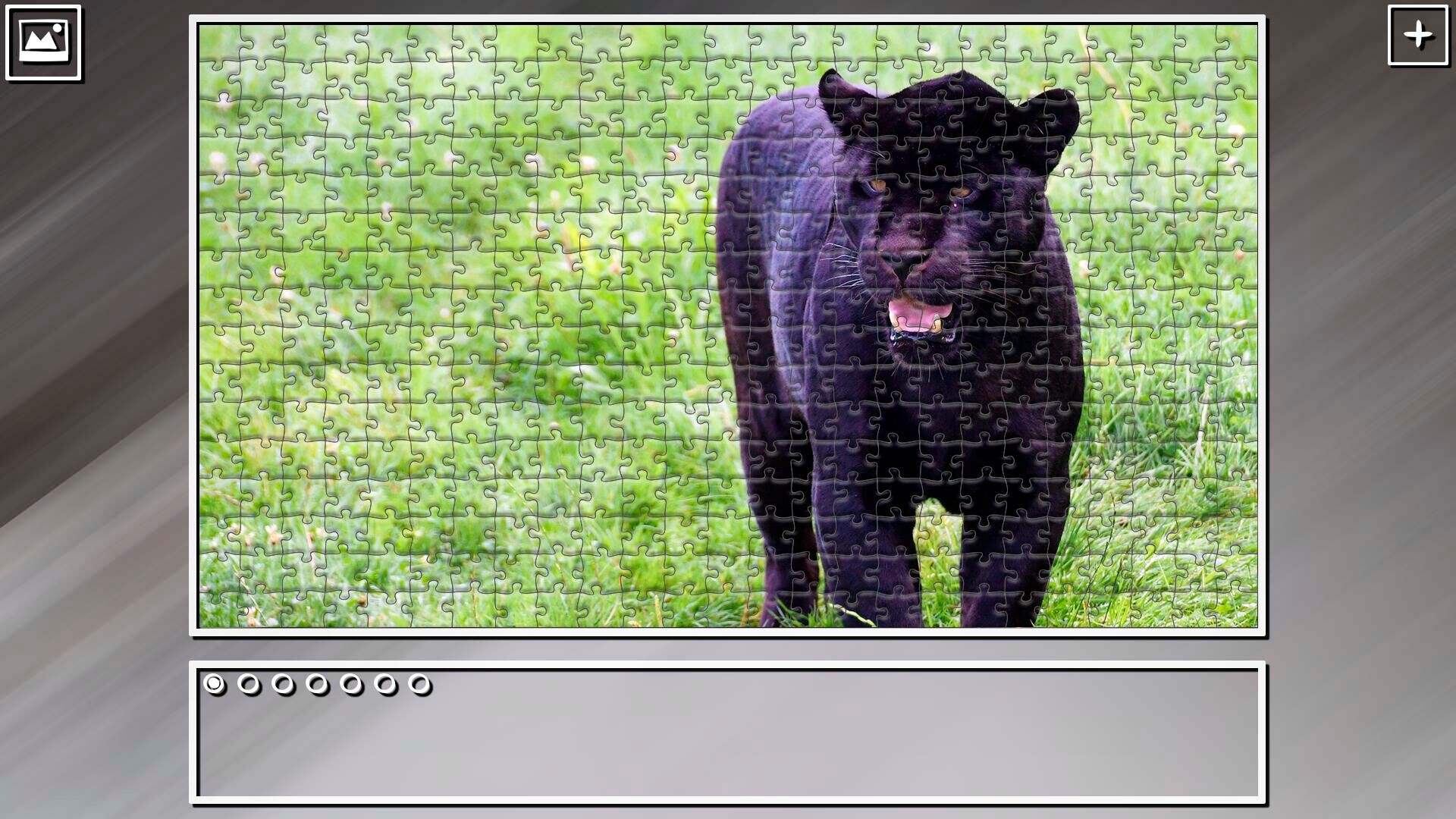 Super Jigsaw Puzzle: Generations - Big Cats 3 screenshot 4