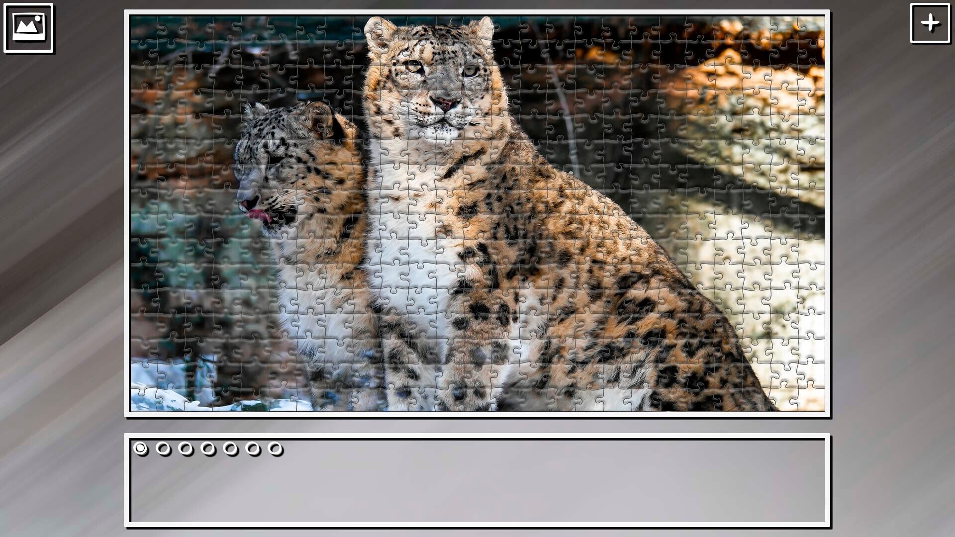 Super Jigsaw Puzzle: Generations - Big Cats 3 screenshot 14