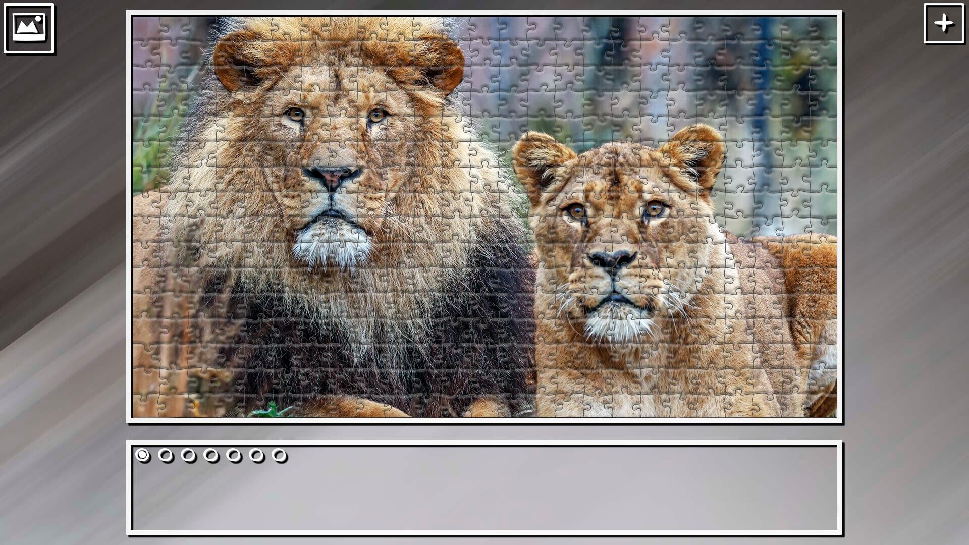 Super Jigsaw Puzzle: Generations - Big Cats 3 screenshot 19