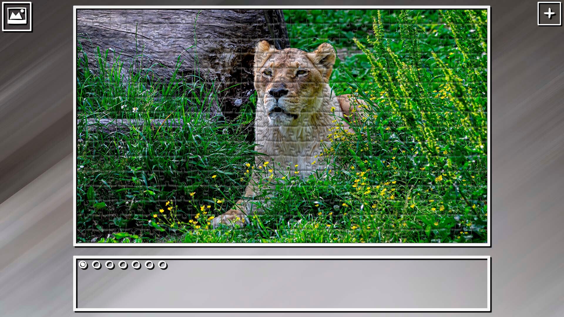 Super Jigsaw Puzzle: Generations - Big Cats 3 screenshot 22