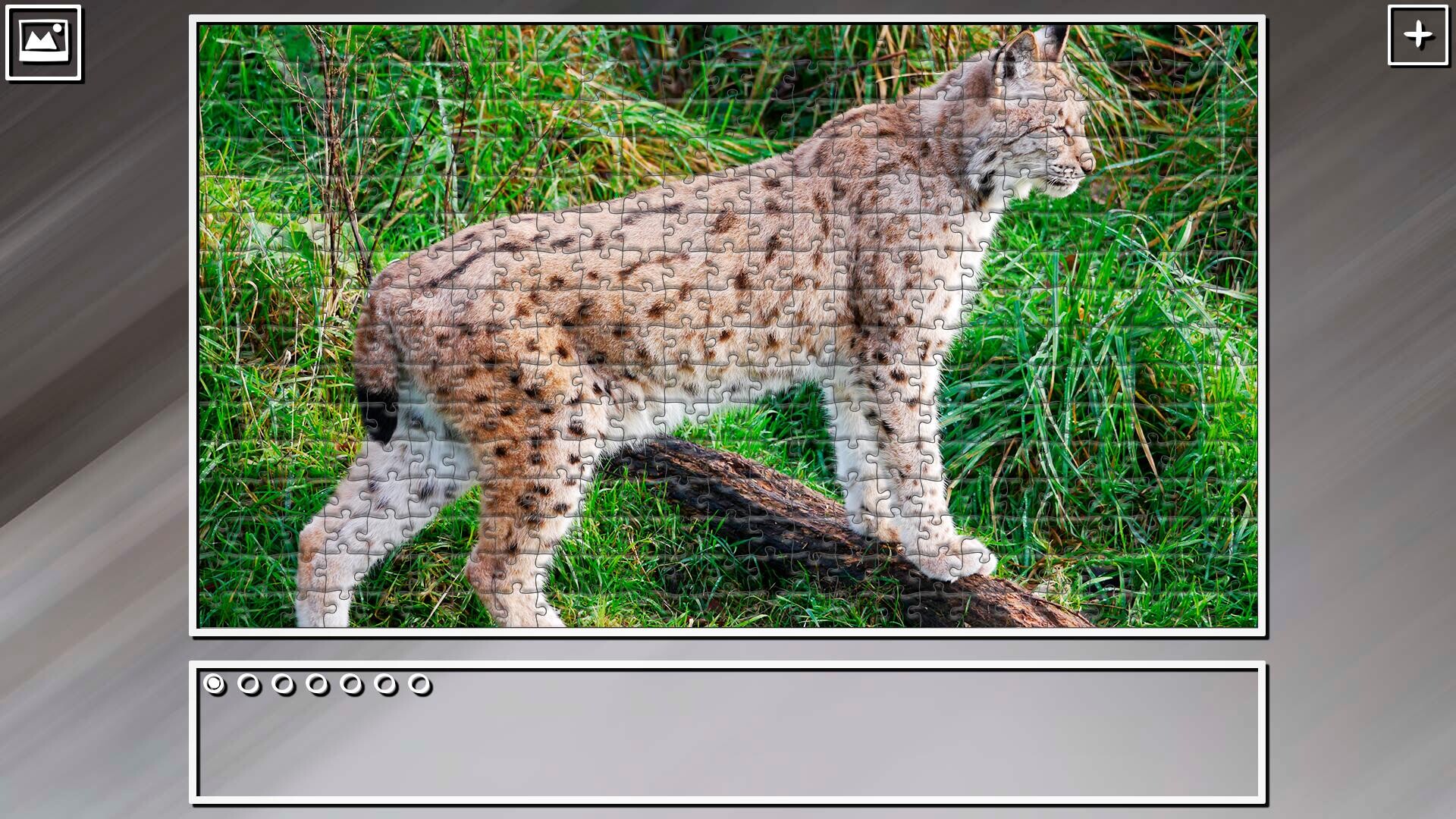 Super Jigsaw Puzzle: Generations - Big Cats 3 screenshot 25