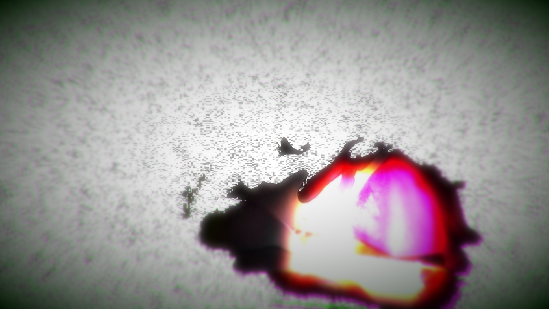 CALENDULA screenshot 5