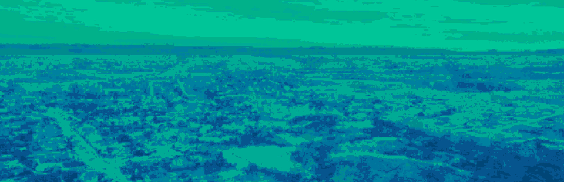 Dreamtone