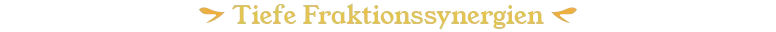 Tiefe Fraktionssynergien