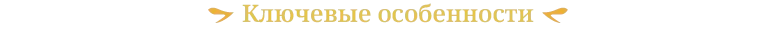 Ключевые особенности