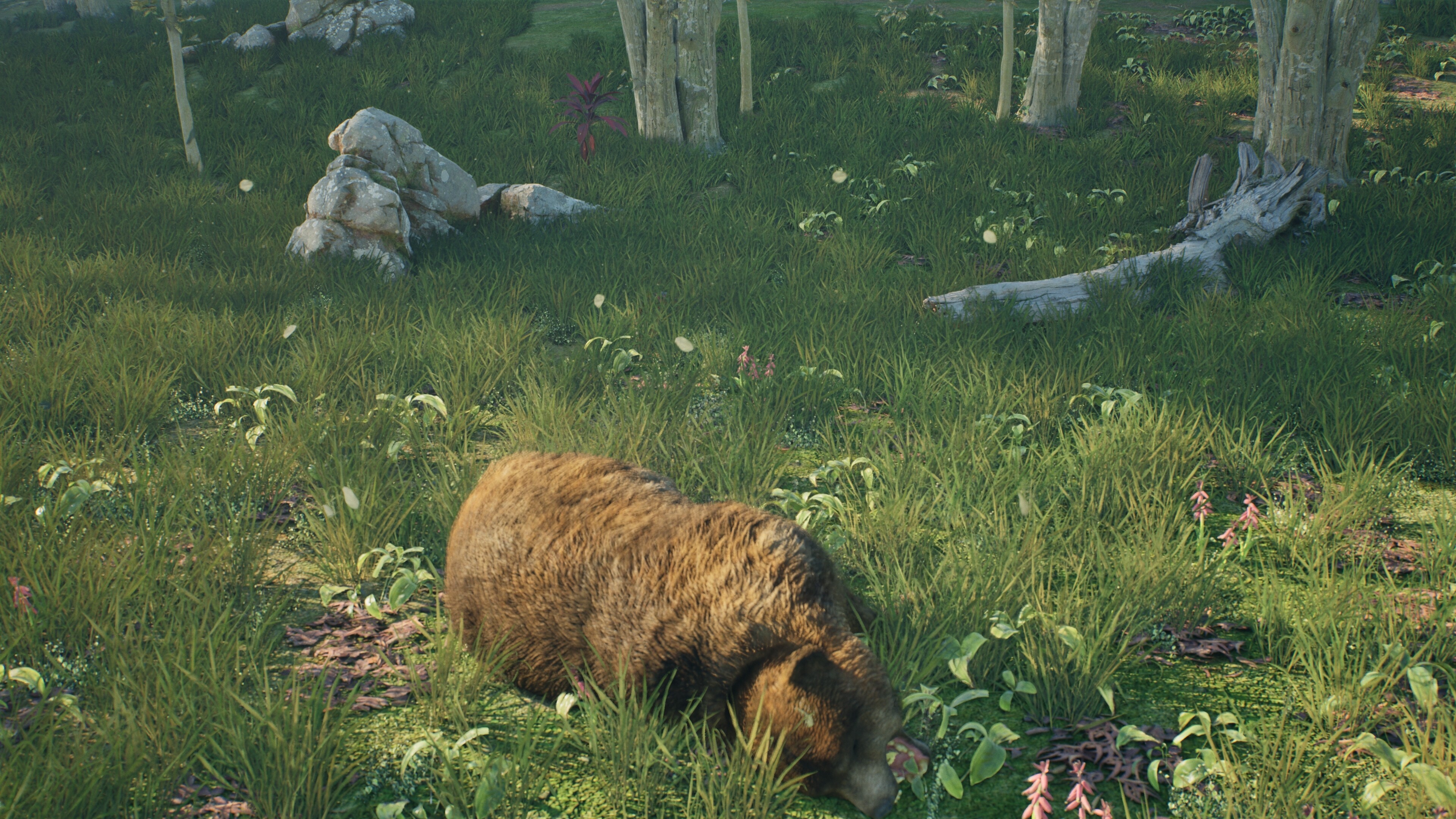 Dawnkind screenshot 10