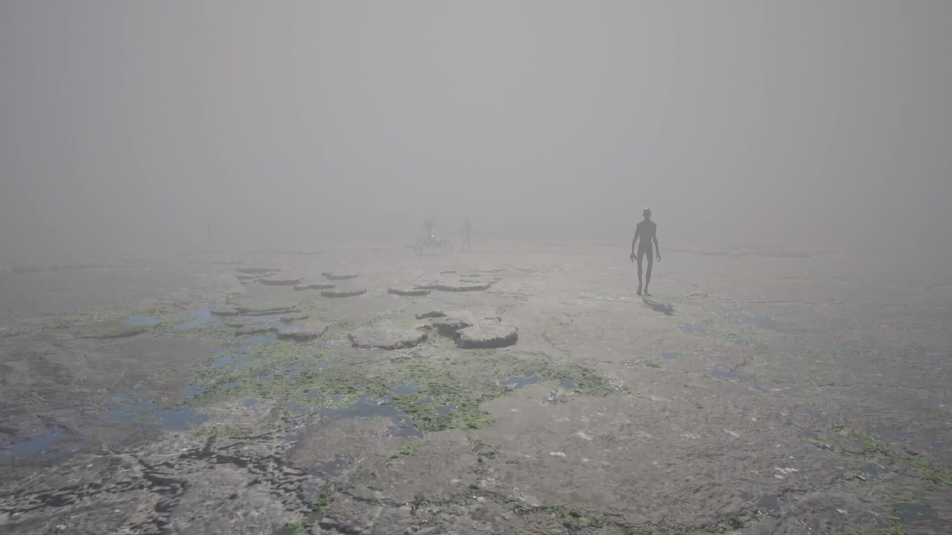 Fog screenshot 11