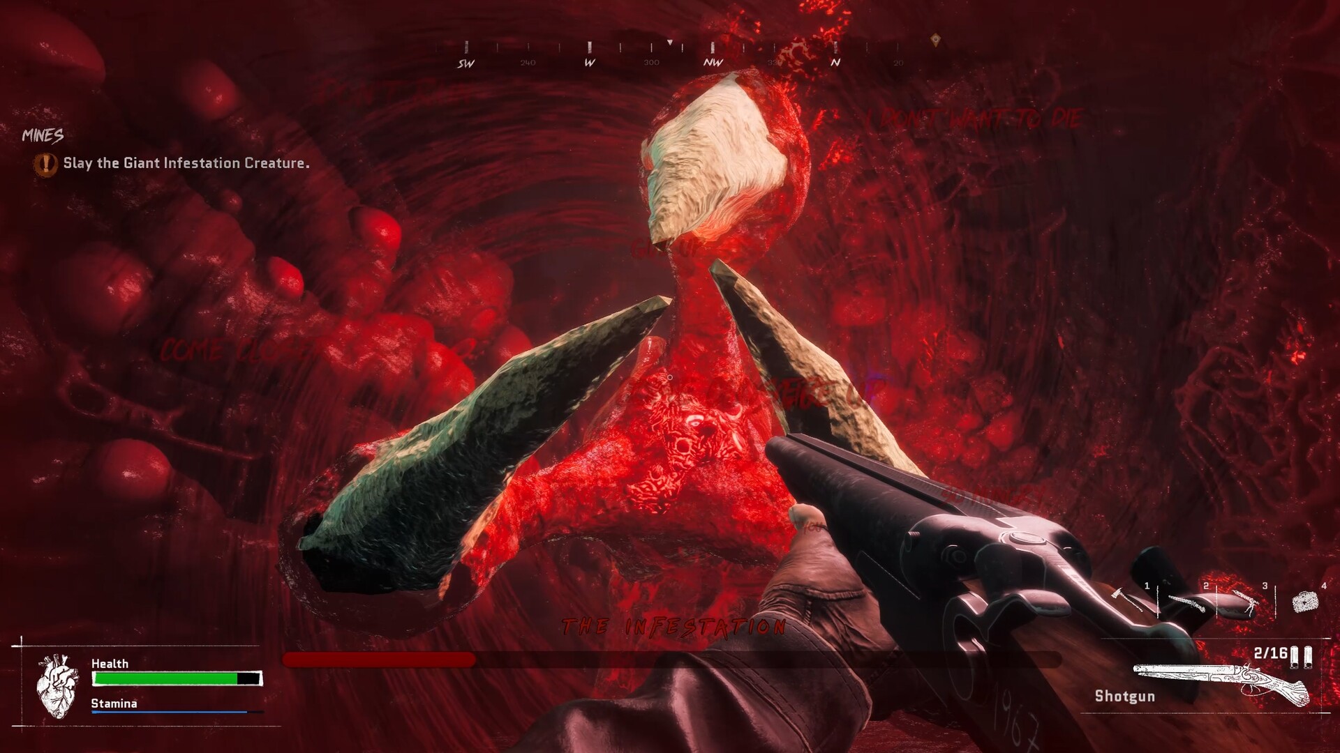 Captura n.º 5