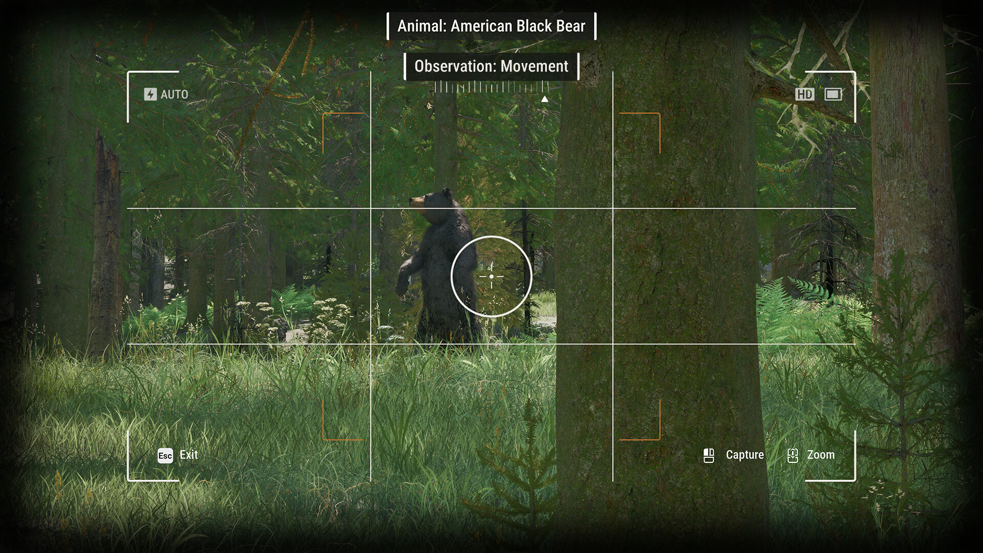 Ranger’s Path: National Park Simulator, il simulatore che trasforma la natura in un’esperienza da vivere