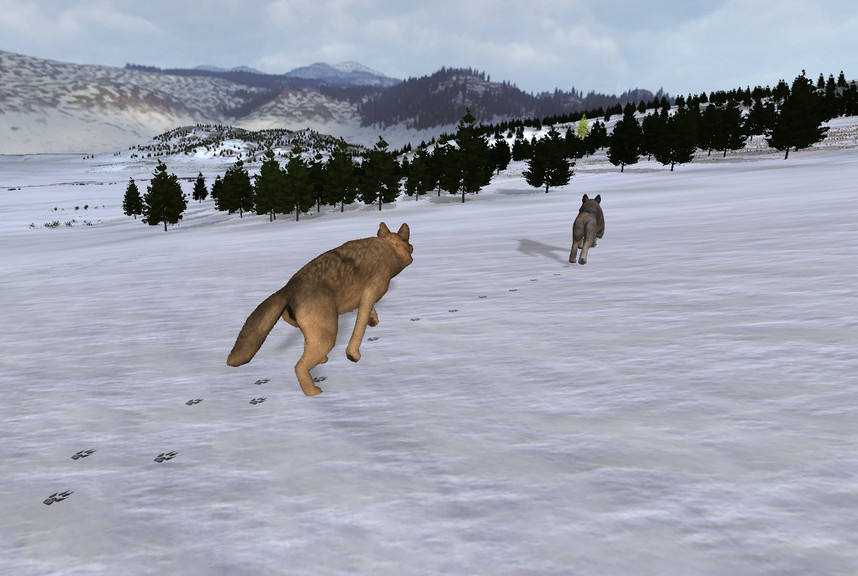 WolfQuest: Classic screenshot 7
