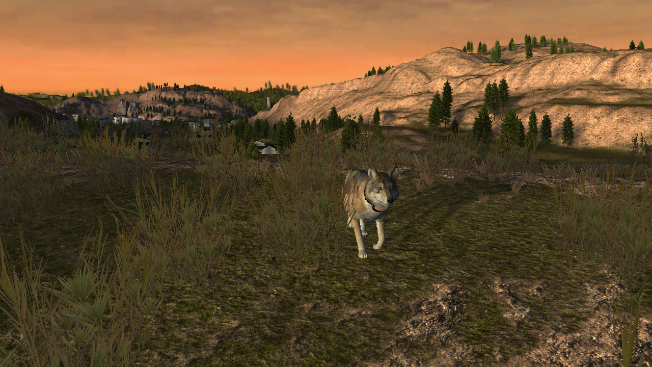 WolfQuest: Classic screenshot 12