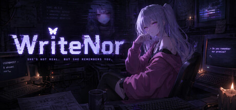 WriteNor — Steam header