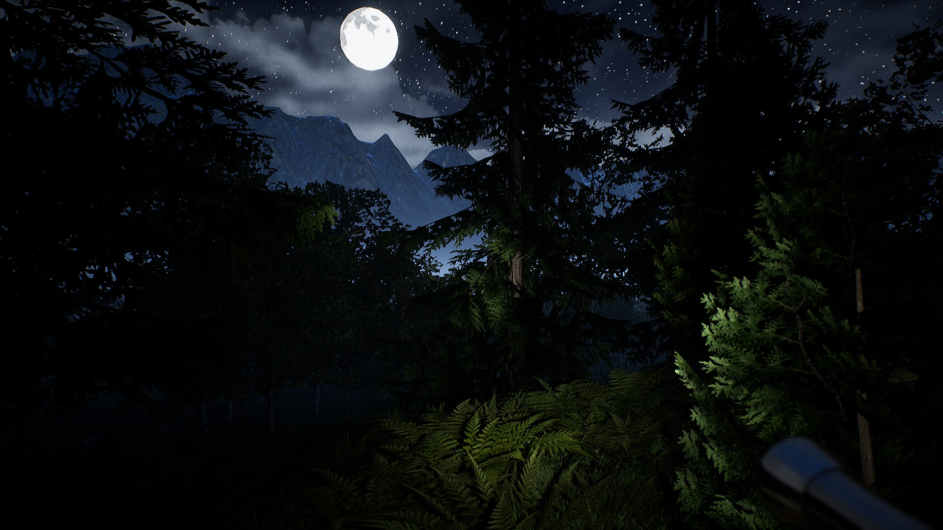 Campfire: Night One screenshot 12