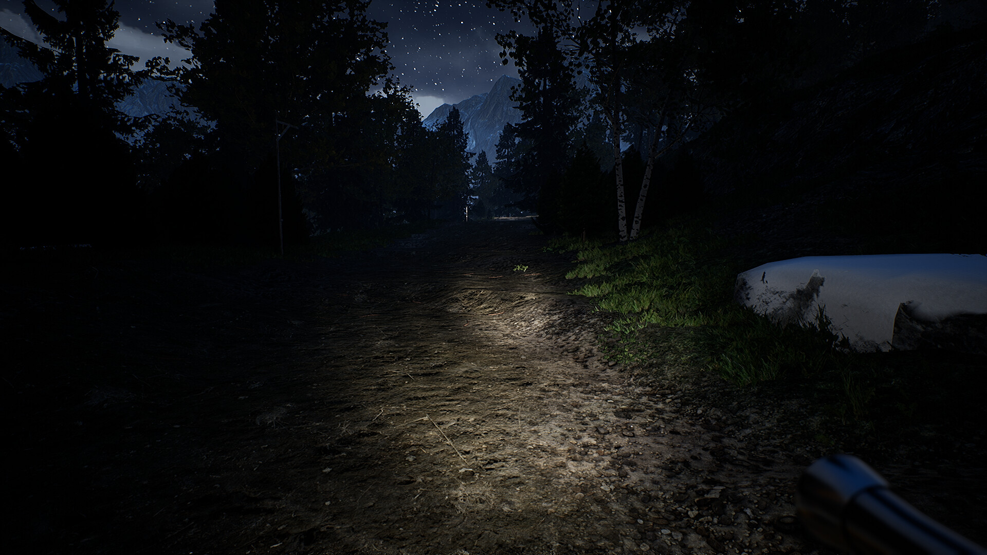 Campfire: Night One screenshot 11