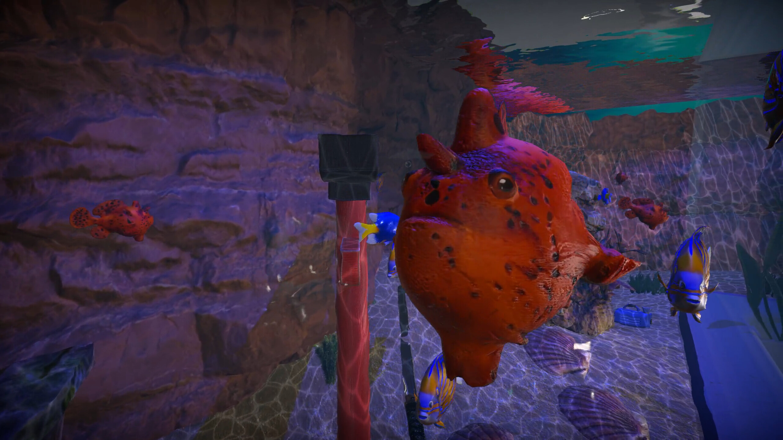 Aquarist - Asian Fish DLC screenshot 7