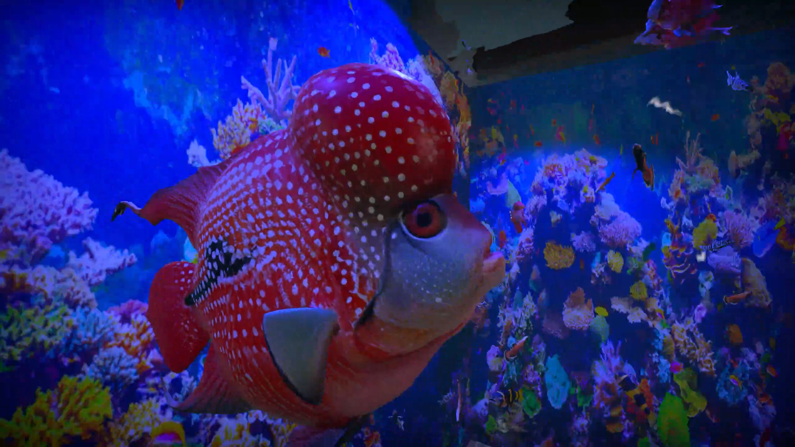 Aquarist - Asian Fish DLC screenshot 1