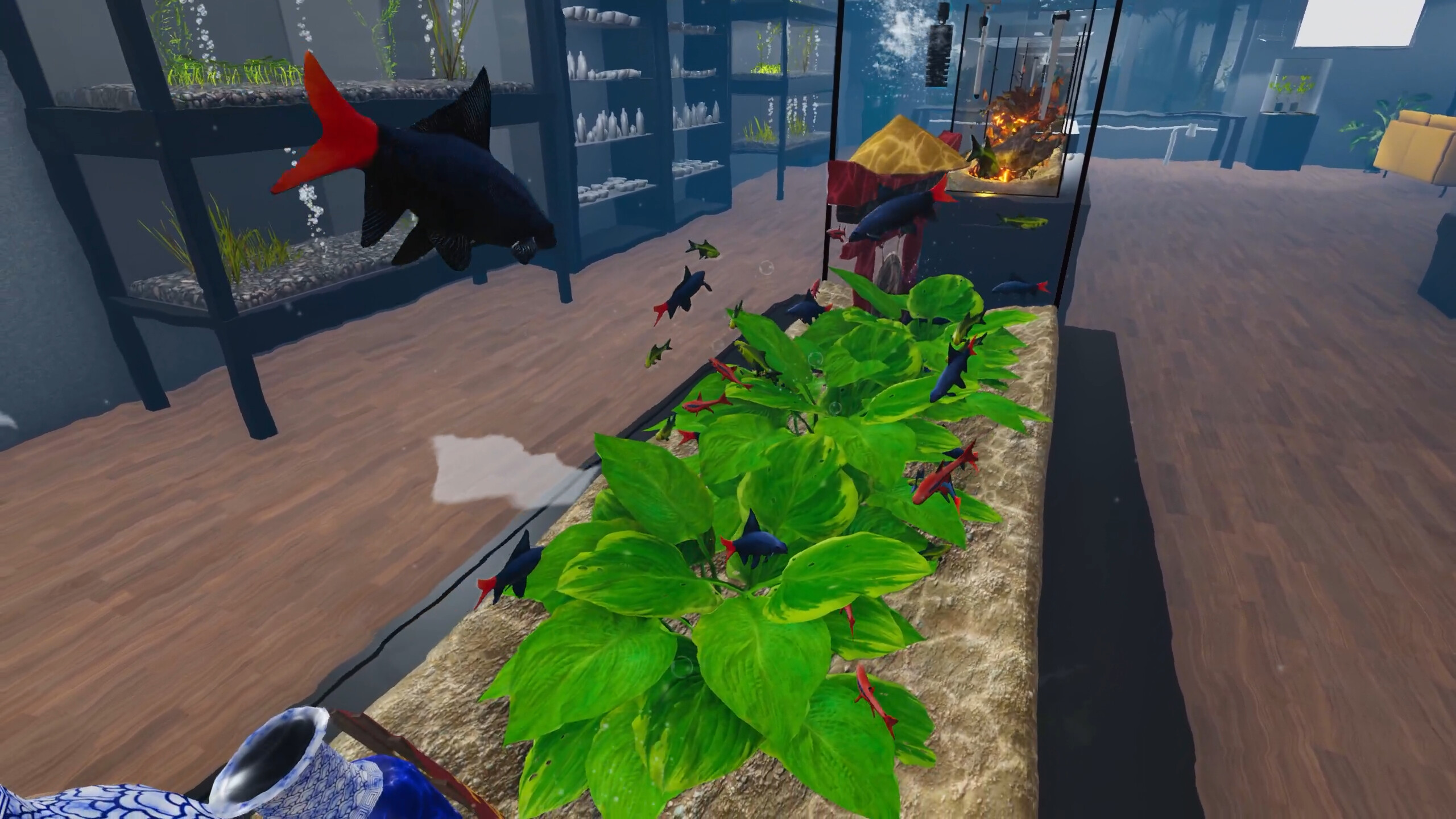 Aquarist - Asian Fish DLC screenshot 6