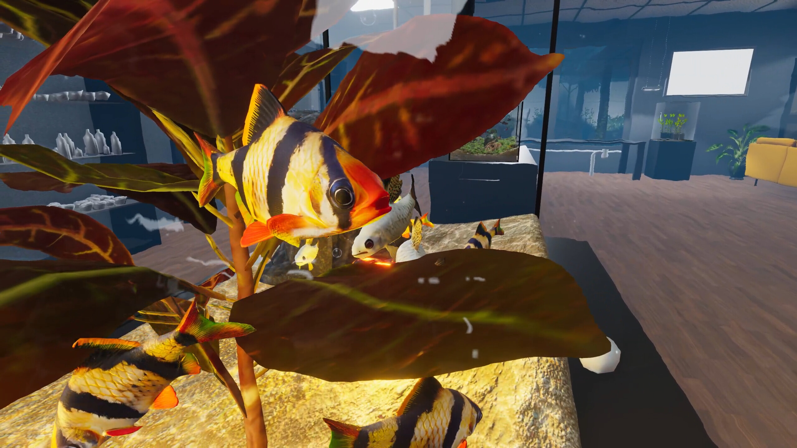 Aquarist - Asian Fish DLC screenshot 4