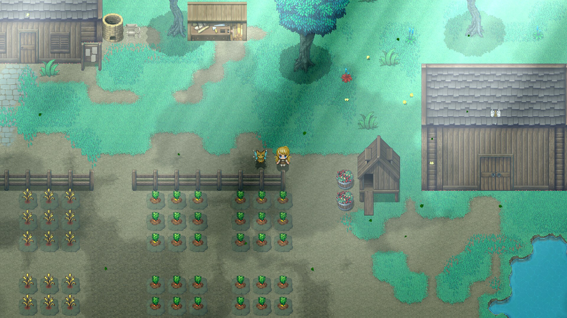 Pirate & Darkmage screenshot 2