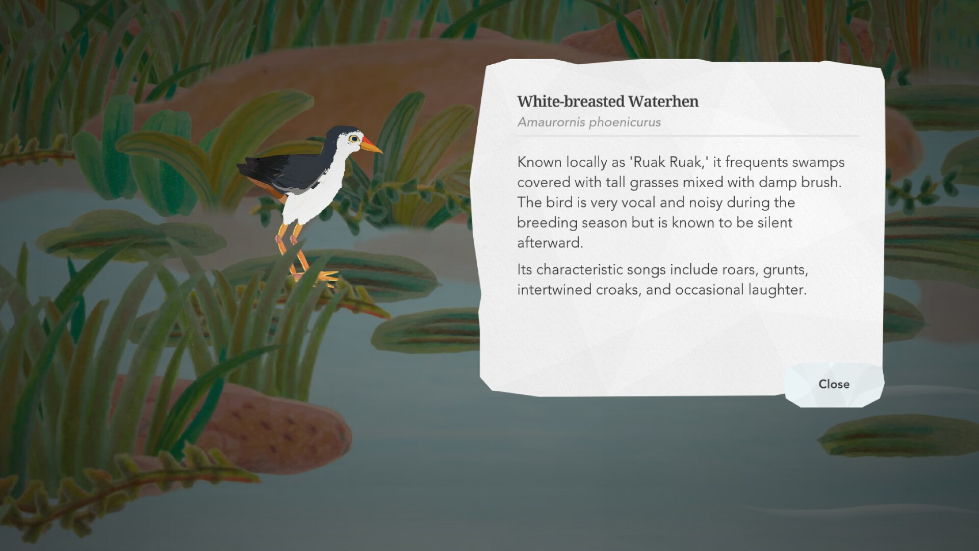 Junior Birder Adventure screenshot 11