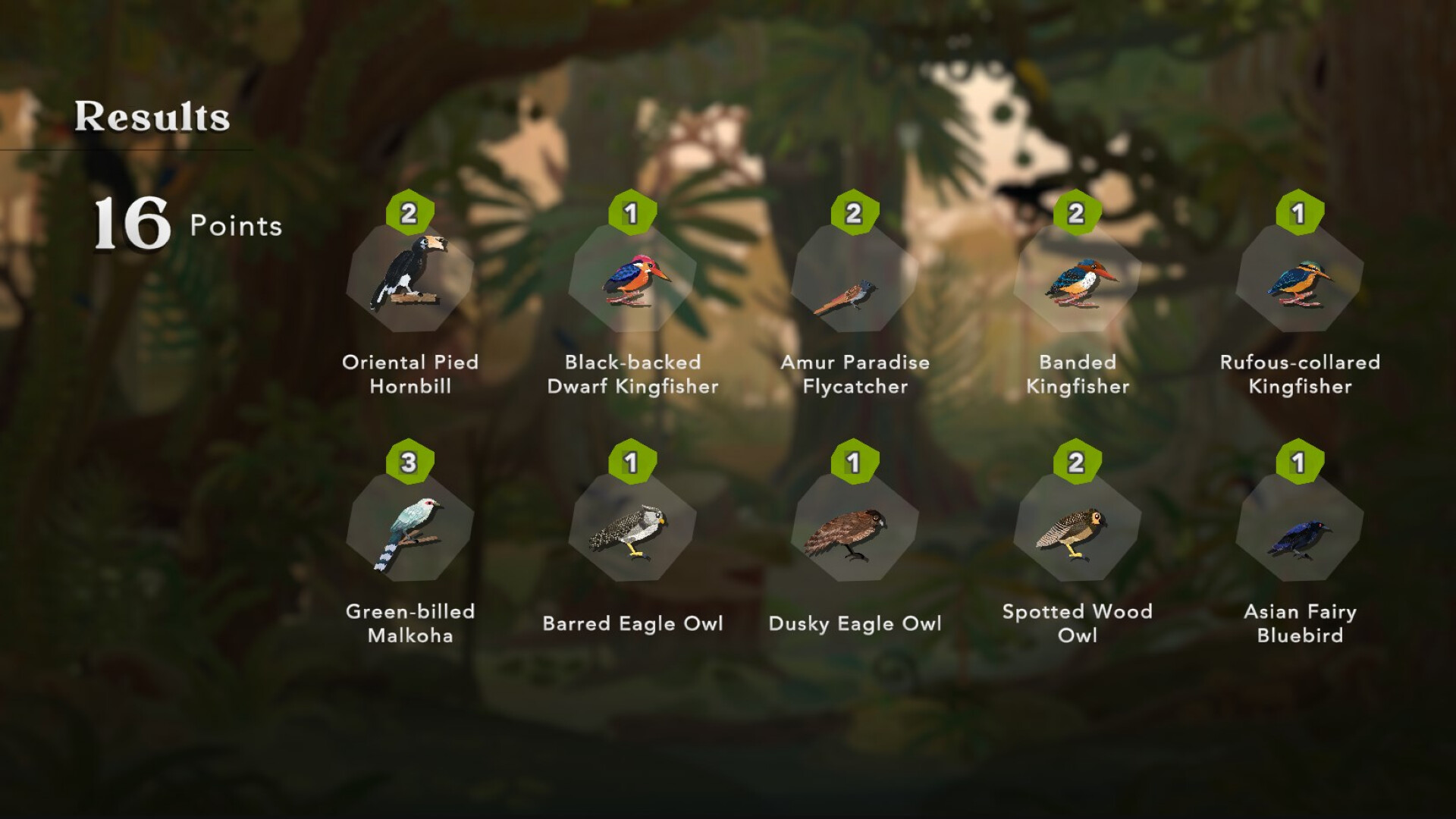 Junior Birder Adventure screenshot 9
