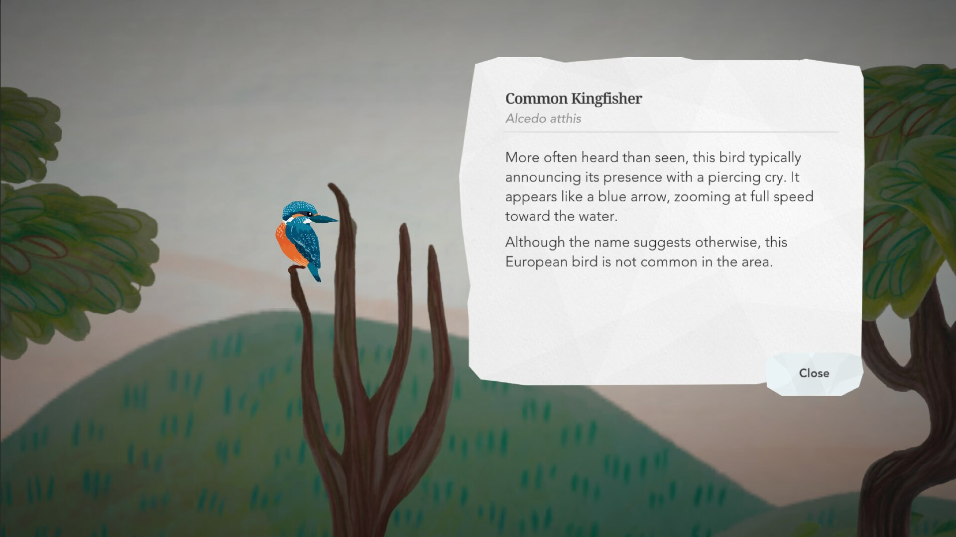 Junior Birder Adventure screenshot 6