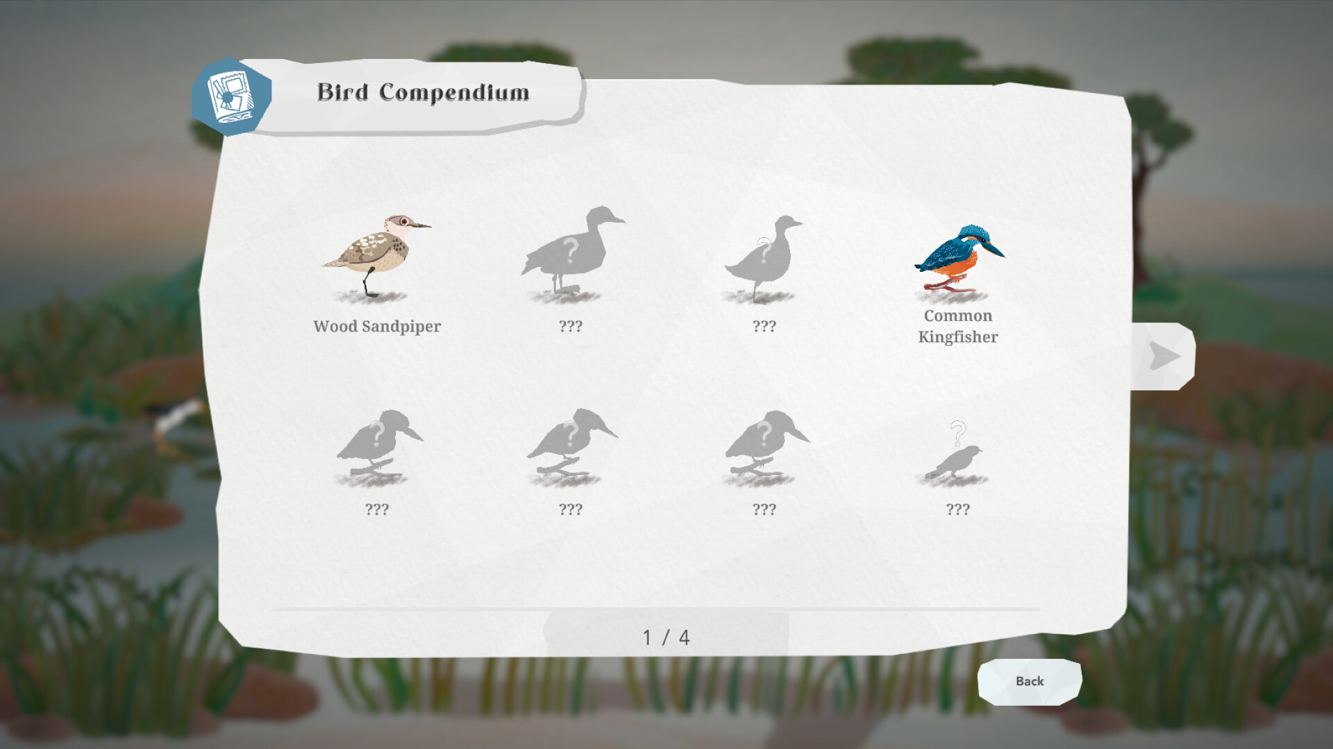 Junior Birder Adventure screenshot 16