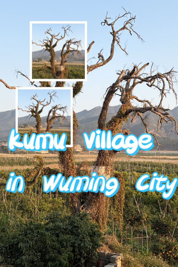 6fe16e3b-67b8-1ff8-4cae-4561e25d31a5