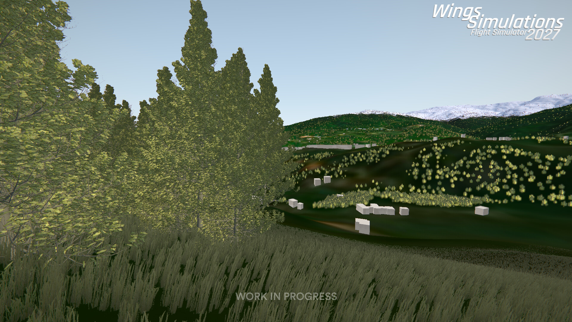 WingsSimulations Flight Simulator 2027 screenshot 2