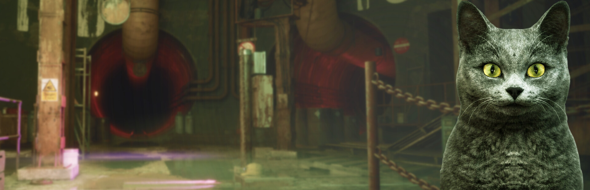 Capsule