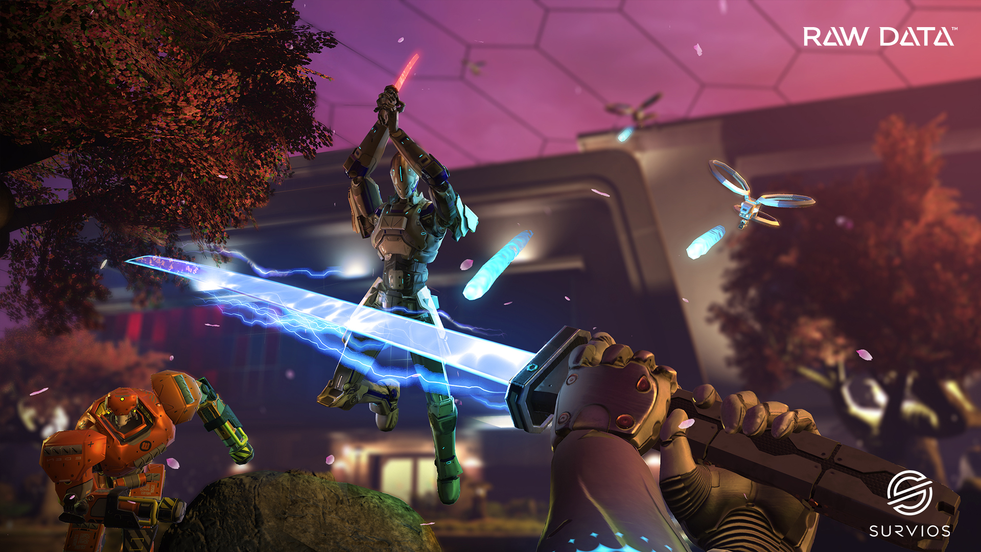 Raw Data screenshot 2