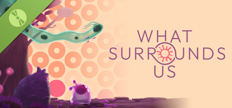 What Surrounds Us Demo