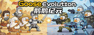 Goose Evolution