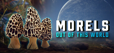 Morels: Out of this World