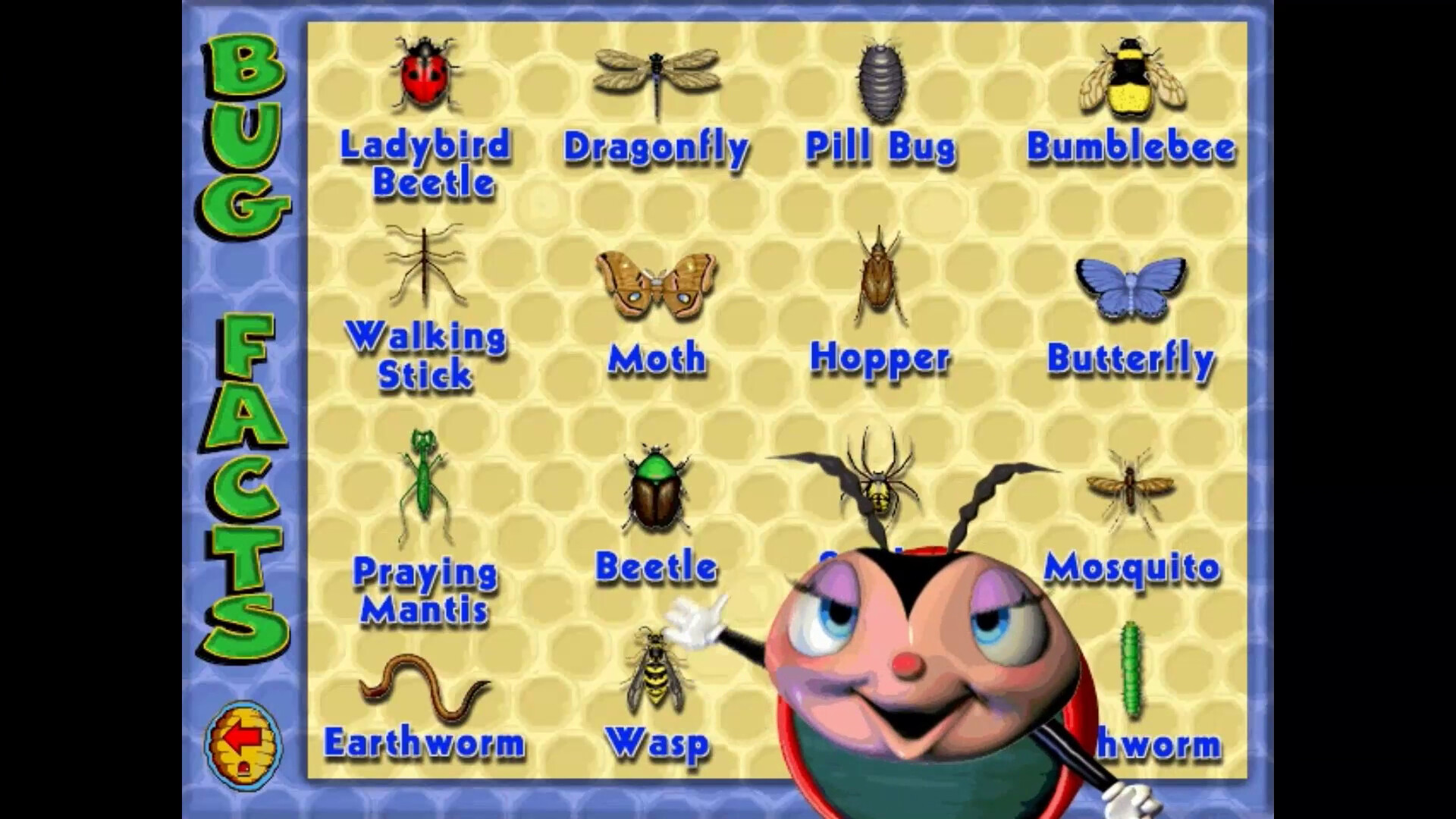 Bug Adventure screenshot 3