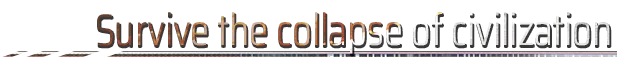 Surviver the collapse of civilization