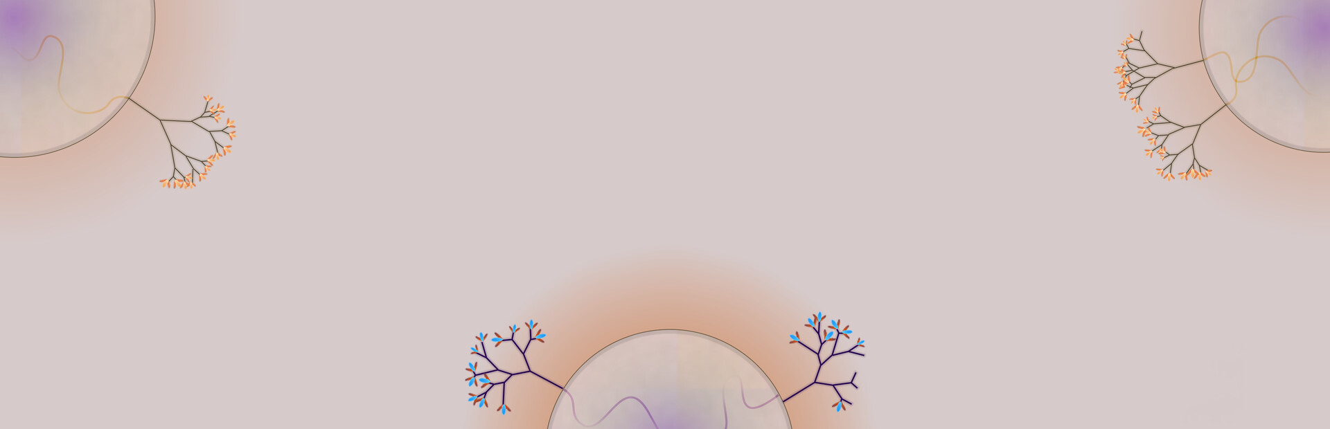 Eufloria 2