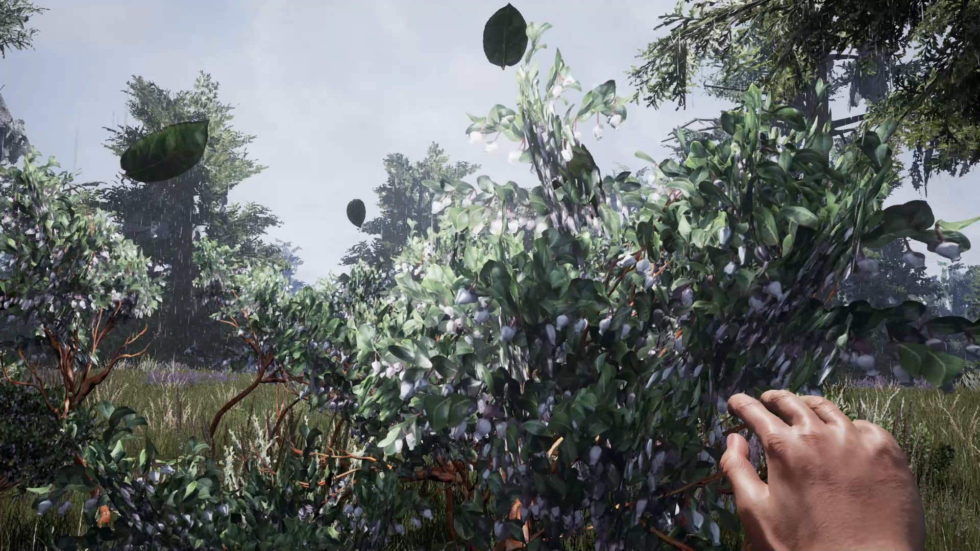 Fragmented screenshot 8