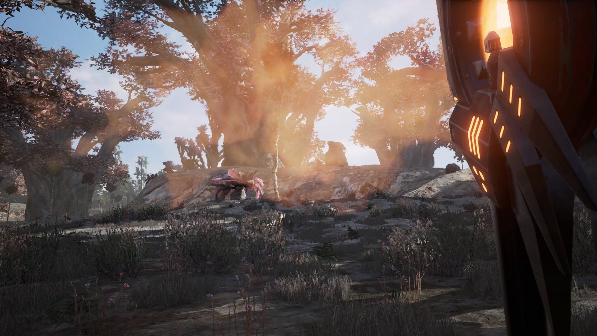Fragmented screenshot 10