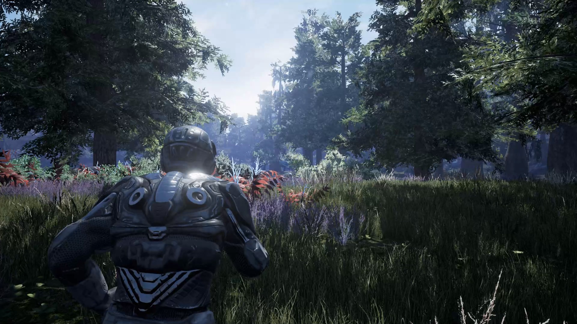 Fragmented screenshot 1