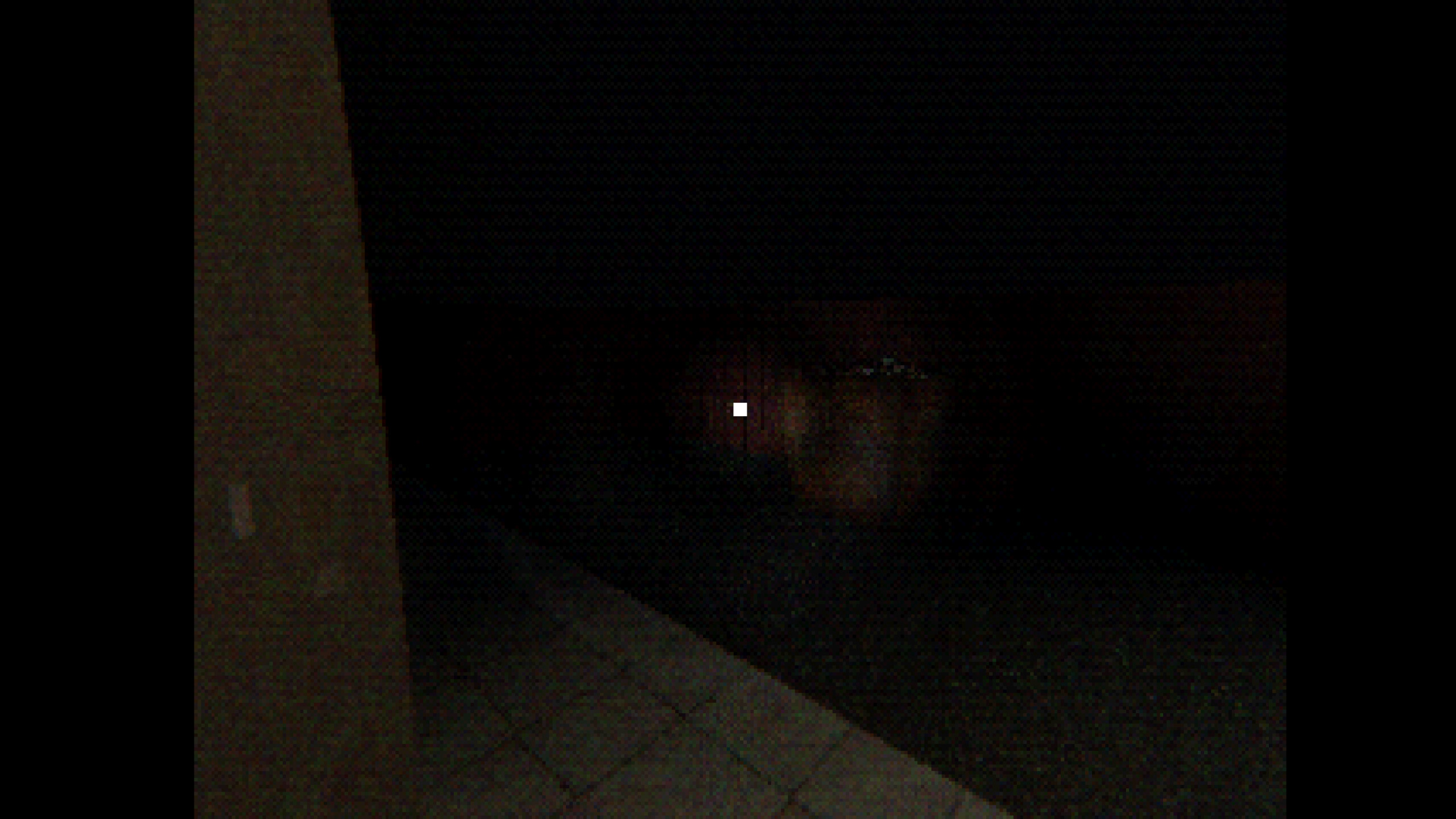 S.H.A.W.A screenshot 11