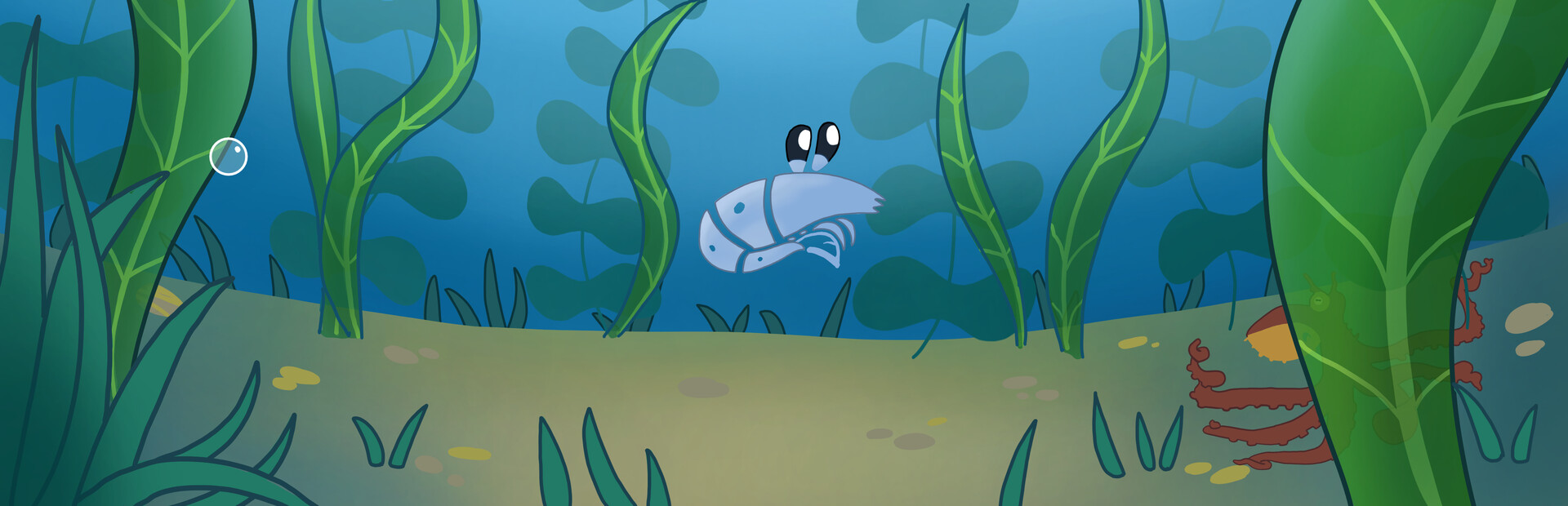Euphausia superba: The Antarctic Krill