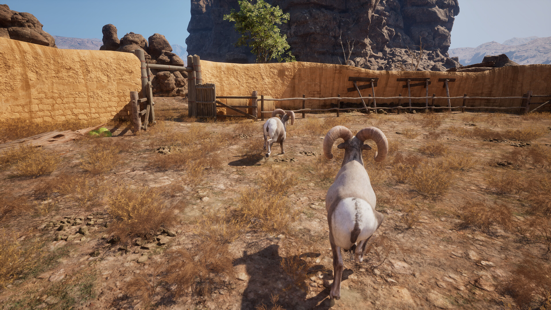 Ram Fights screenshot 11