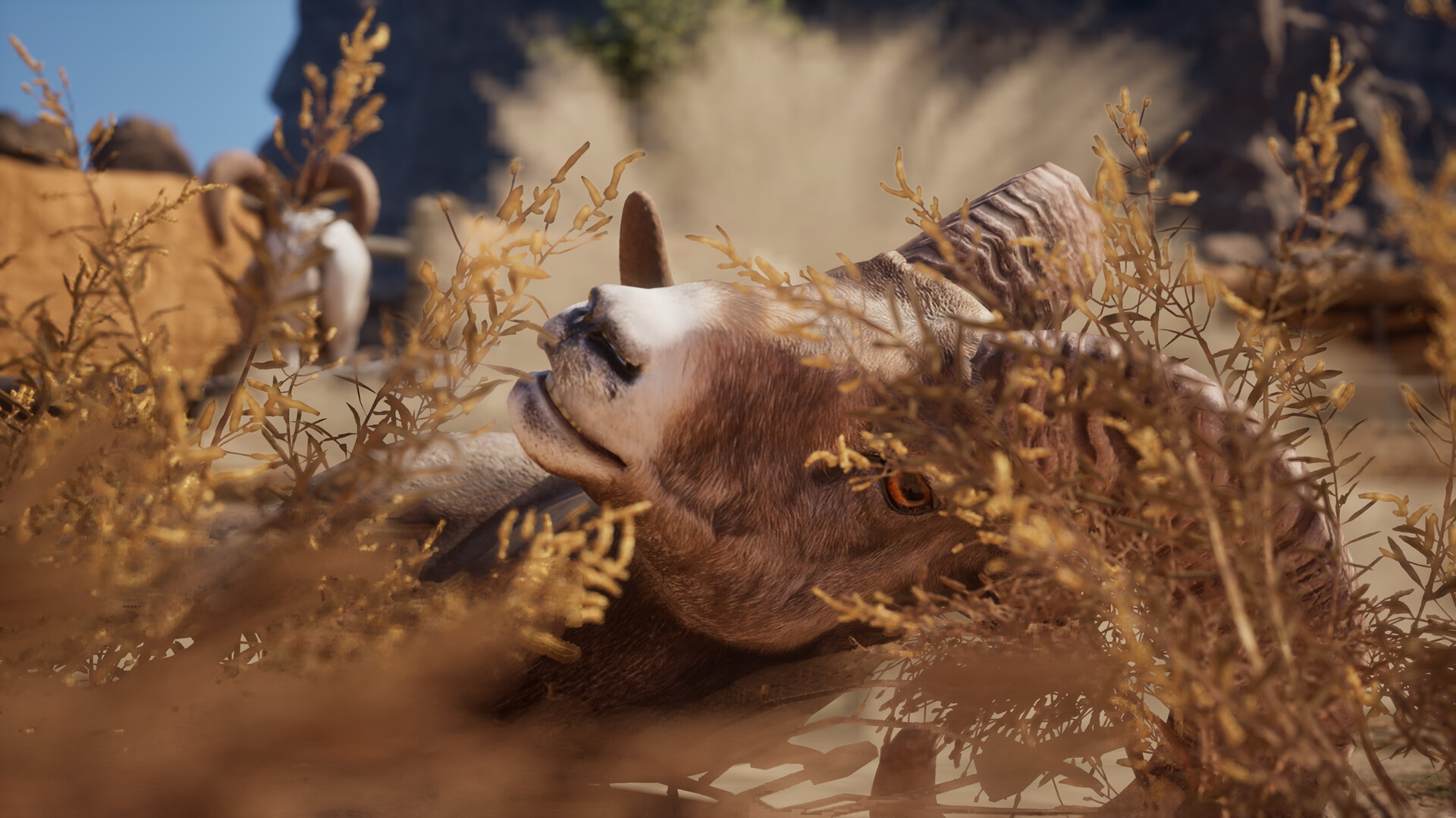 Ram Fights screenshot 3