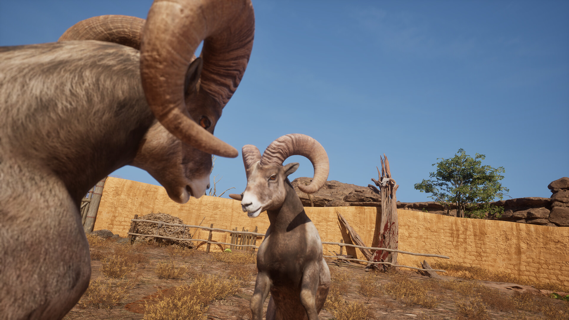 Ram Fights screenshot 4