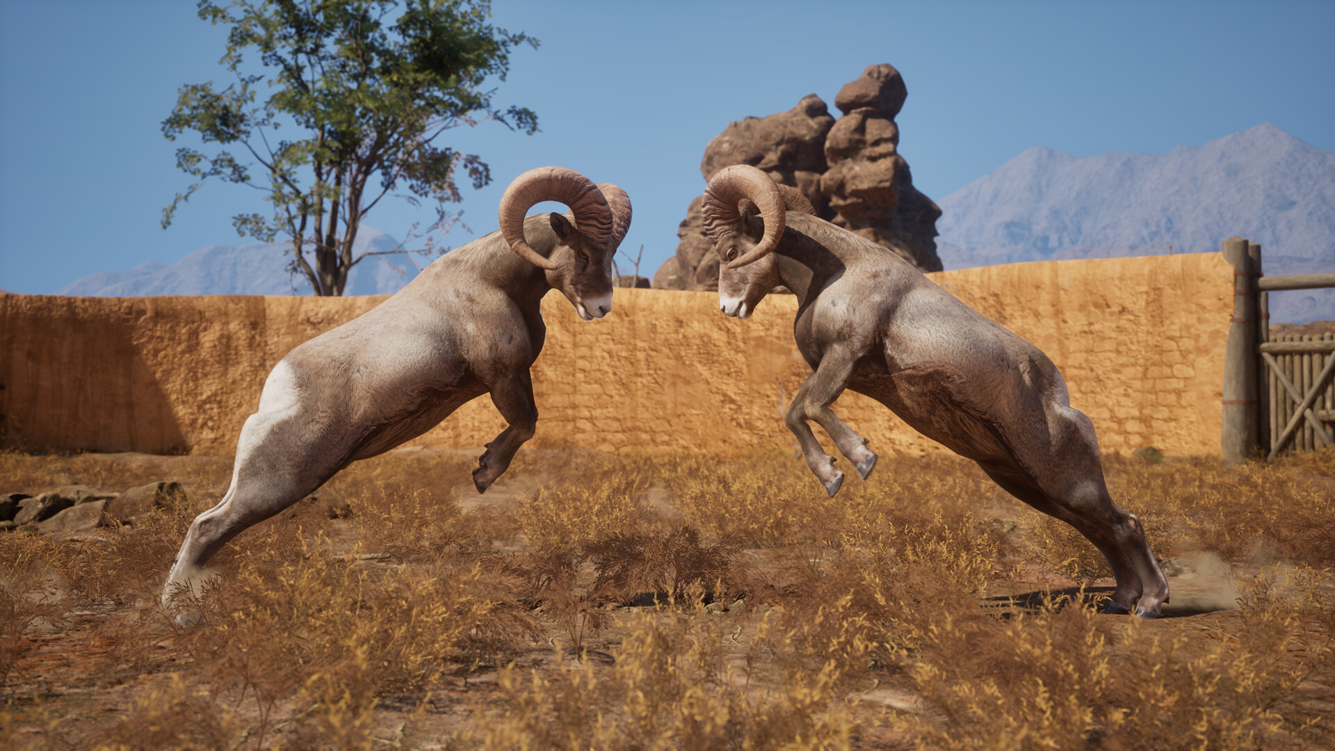 Ram Fights screenshot 10