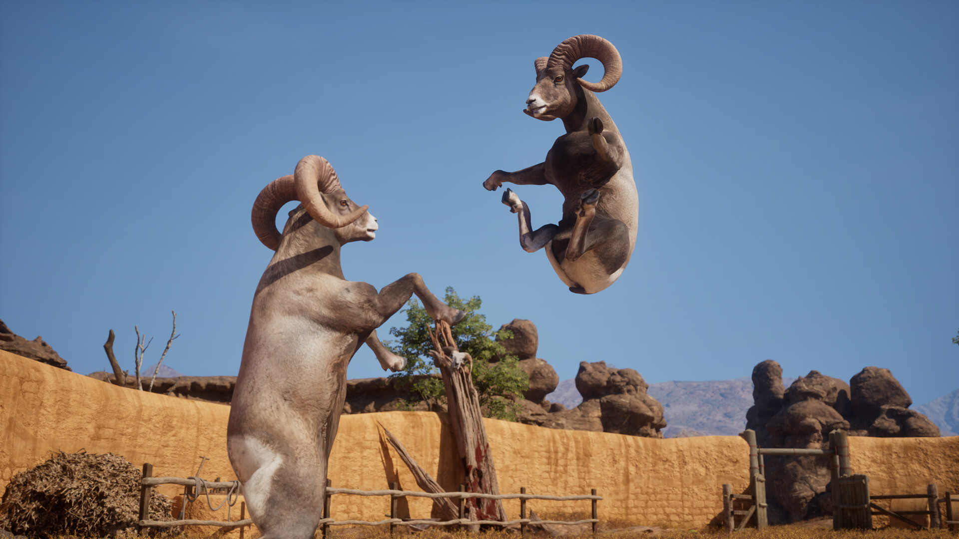 Ram Fights screenshot 2