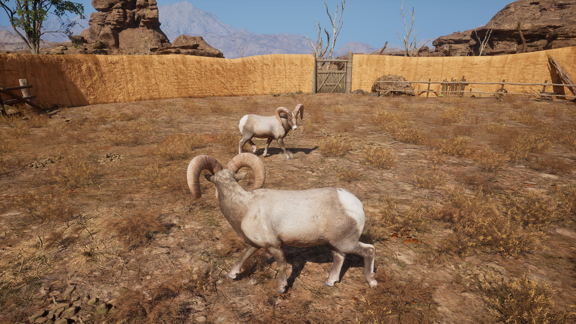 Ram Fights screenshot 13